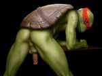  lewd male nude penis photo_manipulation teenage_mutant_ninja_turtles 