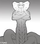  claws cobra faint looking_at_viewer male muscles naga nude reptile scalie snake solo tail tongue 