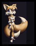  breasts canine chalcara crossgender female fox gloves kitsune looking_at_viewer mobian multiple_tails orange purple_eyes solo sonic_(series) standing tail tailsko 