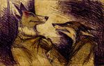  canine culpeofox duo fox grab male mammal sketch 
