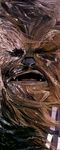  awesome chewbacca male mutley portrait solo star_wars wookiee 