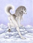  all_fours arctic canine dark_natasha dog female husky ice nude presenting snow solo 