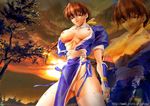  bad_anatomy big_breasts breasts bruise bruised injury kasumi kasumi_(doa) large_breasts ninja nolia photo_background sweat 