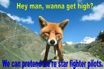  english_text feral fox image_macro mammal mountain nintendo photo real star_fox text video_games 
