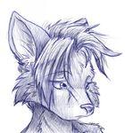  ambiguous_gender blue_and_white canine fox hair_over_eyes monochrome portrait sad sketch solo white_background zombiecat 