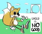  ance canine crack drool drugs flower fox male miles_prower mobian saliva sitting solo sonic_(series) the_truth unknown_artist 