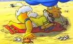  beach canine fox male miles_prower orange roarey_raccoon sand seaside solo sonic_(series) 