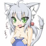  bowl breasts cat_ears catgirl dog_bowl female food_bowl green_eyes grey_hair hair plain_background solo tail unknown_artist white_background 