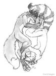  blackteagan canine circle couple hindpaw male raccoon sleeping wolf 