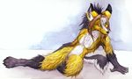  airguitar_(character) canine chest_tuft female maned_wolf nude sebastian solo watercolour 