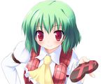  bad_id bad_pixiv_id chocolate chocolate_heart green_hair heart highres kazami_yuuka pilky red_eyes short_hair solo touhou transparent_background 