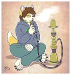  canine corgi crosslegged dog hookah male moodyferret nargile piercing pooka smoke smoking solo 