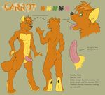  canine carrot carrot_wolf carrotwolf demicoeur erection green_eyes male mammal model_sheet nude penis piercing sheet solo tongue tongue_piercing wolf 