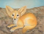  canine colored fennec feral fox kekpafrany mammal non-anthro outside solo traditional_media 