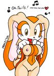  amber_eyes breasts cream_the_rabbit female gloves long_ears looking_at_viewer mobian nude praiz pussy short_tail solo sonic_(series) standing tail tan 