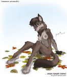  autumn canine female fingerless_gloves leaves masturbation nude solo wolf wolfy-nail 