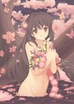  bad_id bad_pixiv_id brown_hair bug butterfly cherry_blossoms cloud flower groin hair_flower hair_ornament insect long_hair moai_(aoh) nature navel night night_sky nude original outdoors pink red_eyes sky smile solo star_(sky) starry_sky tree wading water 