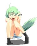  animal_ears bad_id bad_pixiv_id dog_days dog_ears dog_tail eclair_martinozzi enokoro_kusa green_hair light_green_hair open_mouth panties short_hair solo striped striped_panties tail torn_clothes torn_panties underwear 