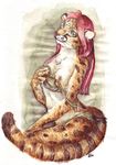  feline female it&#039;s_a_trap! margay solo spots 