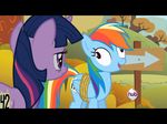  derp equine female friendship_is_magic horse image_macro my_little_pony rainbow_dash_(mlp) 