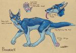  blue bounder female growly growly_lobita lobita model_sheet solo 