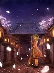  animal_ears bamboo_broom broom cherry_blossoms dress frilled_dress frills glowing green_hair kasodani_kyouko night petals sen_otoko shoes short_hair smile socks solo standing star_(sky) stone_lantern touhou 