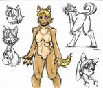  al blonde_hair blue_eyes breasts brown chest_tuft collar face_markings female hair multi_breast pawpads ryou standing 