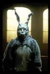  costume creepy donnie_darko frank_(bunny) fursuit grey lagomorph looking_at_viewer male mask rabbit skull solo standing teeth 