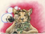  2008 blush bowmanswolf canine female florence_ambrose freefall human kissing male mammal mistletoe runo runoratsu solo winston_thurmad wolf 