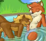  canine duo fellatio fox gay male mammal mustelid nanimoose oral oral_sex otter penis pond raised_tail sex water 