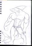 bulge claws dorsal_fin fangs fins gills lizardbeth looking_at_viewer male marine muscles scalie shark sketch skimpy solo speedo standing swimsuit tail underwear 