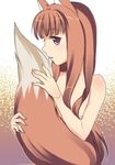  animal_ears brown_hair canine female hair hentai horo licking long_brown_hair long_hair ookami_to_koushinryou ookamimimi red_eyes soft solo standing tail tongue unknown_artist wolf wolfgirl 