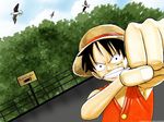 1boy animal bird black_hair clenched_hand fist hat highres looking_at_viewer male male_focus monkey_d_luffy one_piece outdoors scar scenery seagull sign sky solo straw_hat tree 