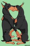  couple doberman dog duo feral gay kissing klaus_doberman male mammal masturbation off penis 