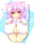  animal_ears blush breasts cat_ears cat_tail cleavage fang highres large_breasts neko purple_hair shia_(syroh) shia_flatpaddy syroh tail yellow_eyes 