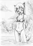  black_and_white bra cat chest_tuft cloud derp feline female fur greyscale hair long_hair mammal monochrome mysticalpha navel panties pencils solo tuft underwear water 