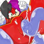  2007 akito_yagami anal anal_penetration chaos_(sonic) clitoris double_penetration female mobian penetration pov pussy slime sonic_(series) spread_legs spreading tears tentacles unknown_character vaginal vaginal_penetration 