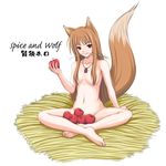  animal_ears barefoot breasts brown_hair canine female food hair hentai horo long_brown_hair long_hair looking_at_viewer necklace nude ookami_to_koushinryou ookamimimi red_eyes sitting solo tail unknown_artist wolf wolfgirl 