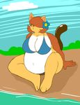  beach big_breasts bikini breasts cat fat feline female seaside skimpy solo tail 