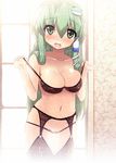  black_bra black_legwear black_panties bra frog garter_belt green_eyes green_hair hair_ornament kochiya_sanae lingerie long_hair navel panties rougetsu_(eclipse) snake solo thighhighs touhou underwear underwear_only 