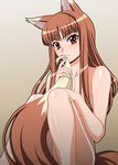  animal_ears brown_hair canine covering_self female hair hentai horo long_brown_hair long_hair looking_at_viewer nude ookami_to_koushinryou ookamimimi red_eyes sitting soft solo tail unknown_artist wolf wolfgirl 