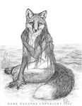  canine dark_natasha female fox nude pencils photorealism solo 