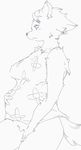  bottomless female pregnant sindoll tagme 