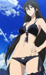  bikini breasts cleavage highres infinite_stratos orimura_chifuyu stitch stitched sunglasses swimsuit 