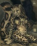  bed black chest_tuft feline female kacey kneeling leopard looking_at_viewer mane_hair nude rose snow_leopard solo 