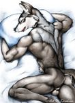 anthro bed butt canine dog karabiner male mammal nude pillow solo wolf 