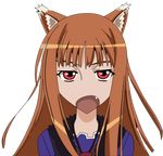  brown_hair hair horo long_hair ookami_to_koushinryou ookamimimi red_eyes serious_face 