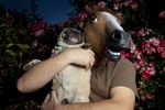  anthro canine collar dog equine fake feral horse human mask o_o photo pkmousie pug real snel_hest terror what 