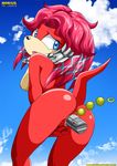  breasts echidna female lien-da looking_at_viewer mobian mobius_unleashed outside pussy sega solo sonic_(series) toy 