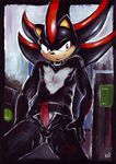  battle_angel collar male mobian pants_pull penis shadow_the_hedgehog solo sonic_(series) topless 